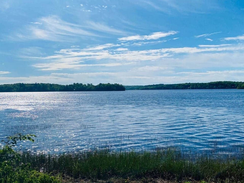 View of the Moira lake - fishing mecca for pickerel, bass and pike!