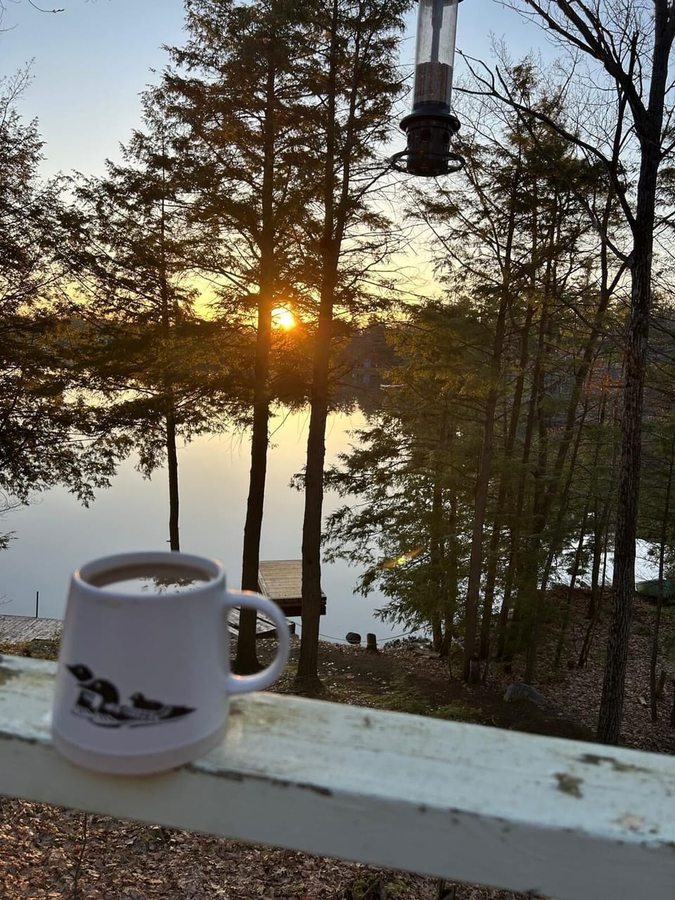 View from property