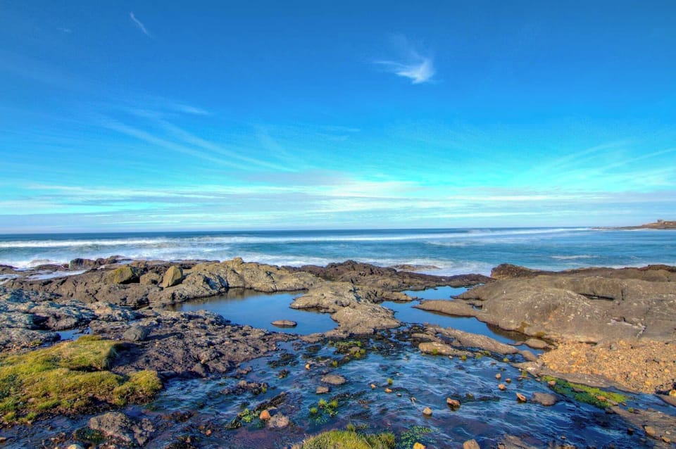 Wonderful tide pools and places to discover along Ocean View Drive.