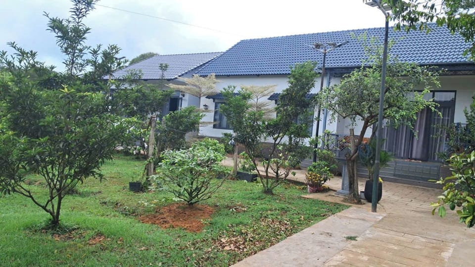 Deluxe Bungalow, Garden View | Property grounds