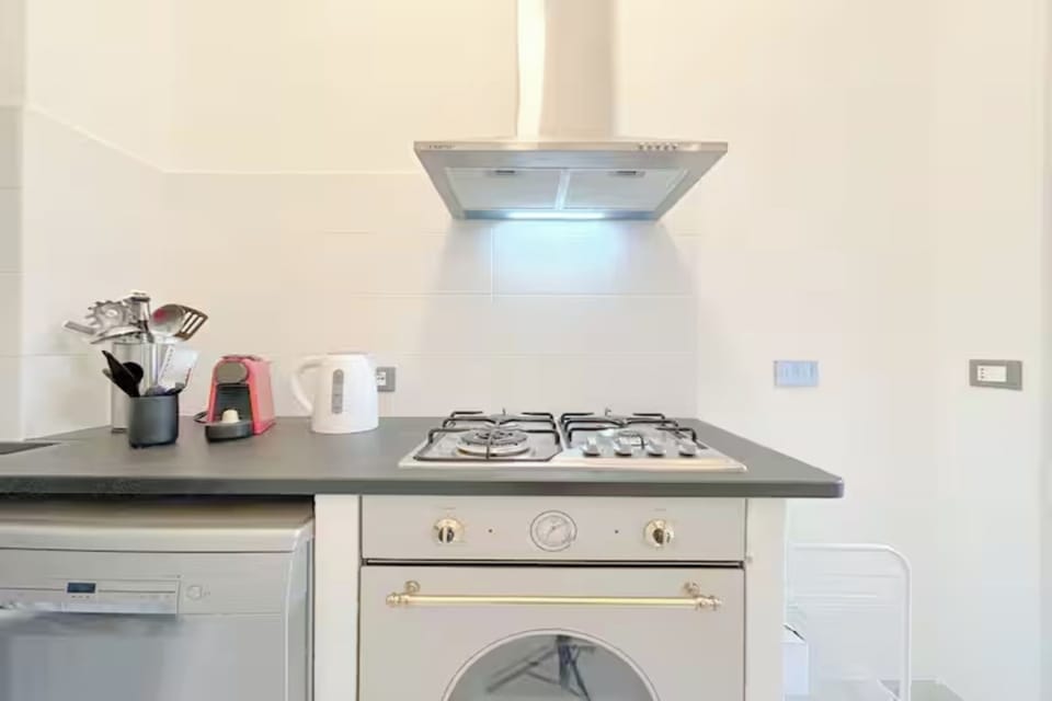 Fridge, oven, stovetop, dishwasher