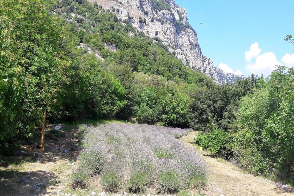 Immediate Surroundings [summer] (<1 km)