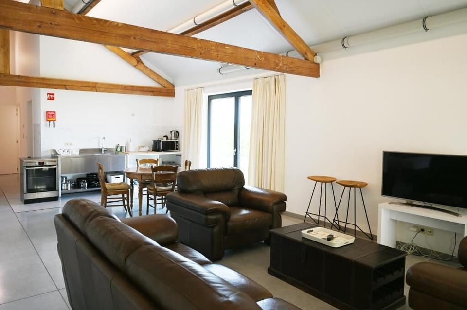 Deluxe Apartment | Living area