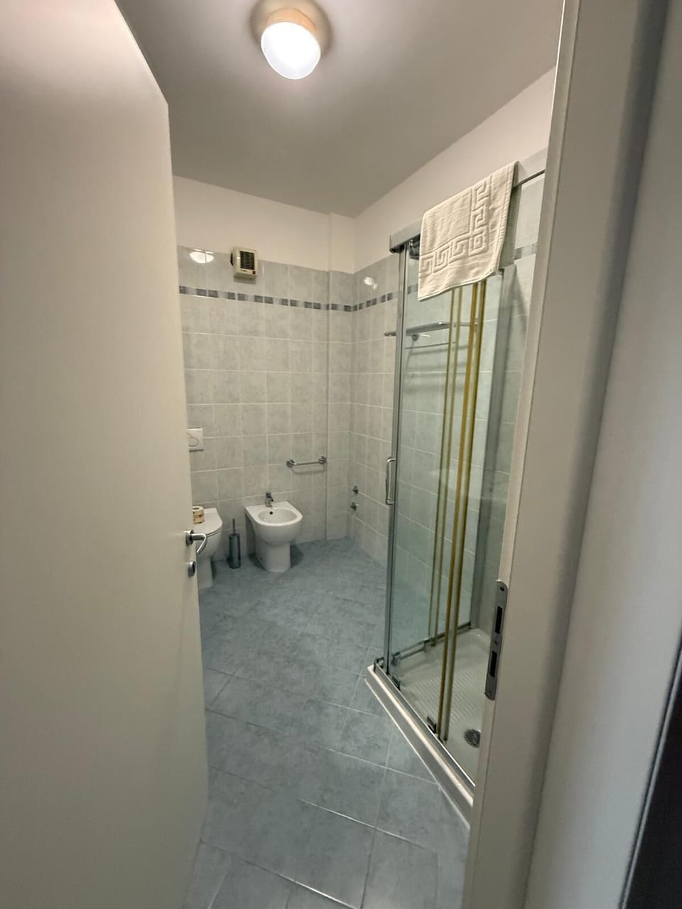 Shower, towels