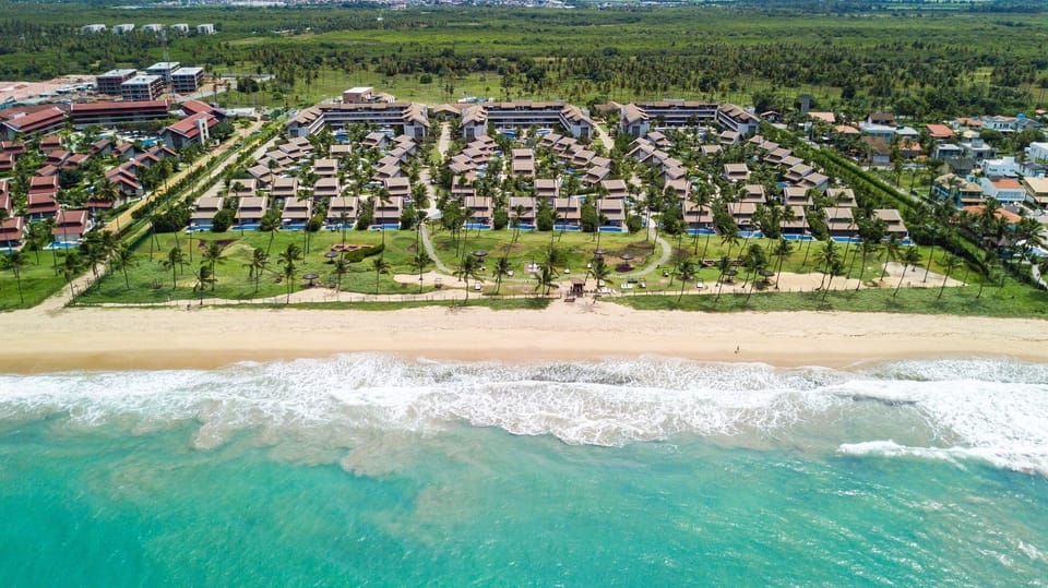 Basic Apartment | Aerial view