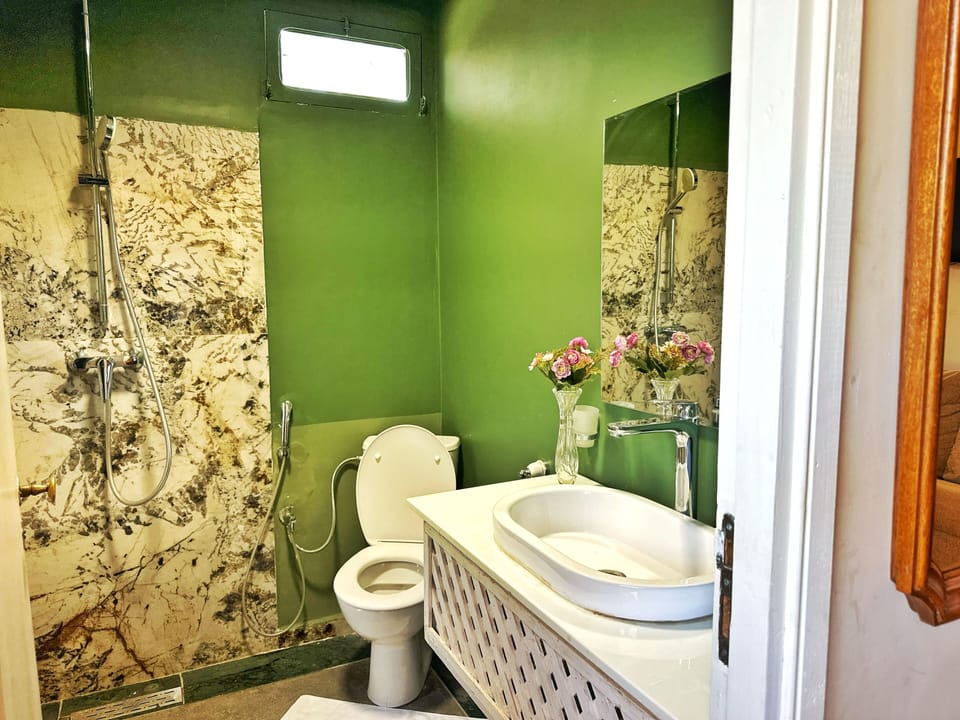 Shower, free toiletries, hair dryer, towels