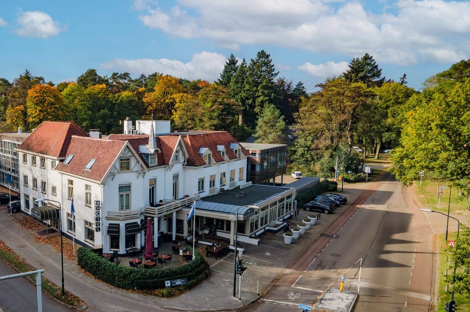 Arrive to a charming hotel surrounded by vibrant forest views.