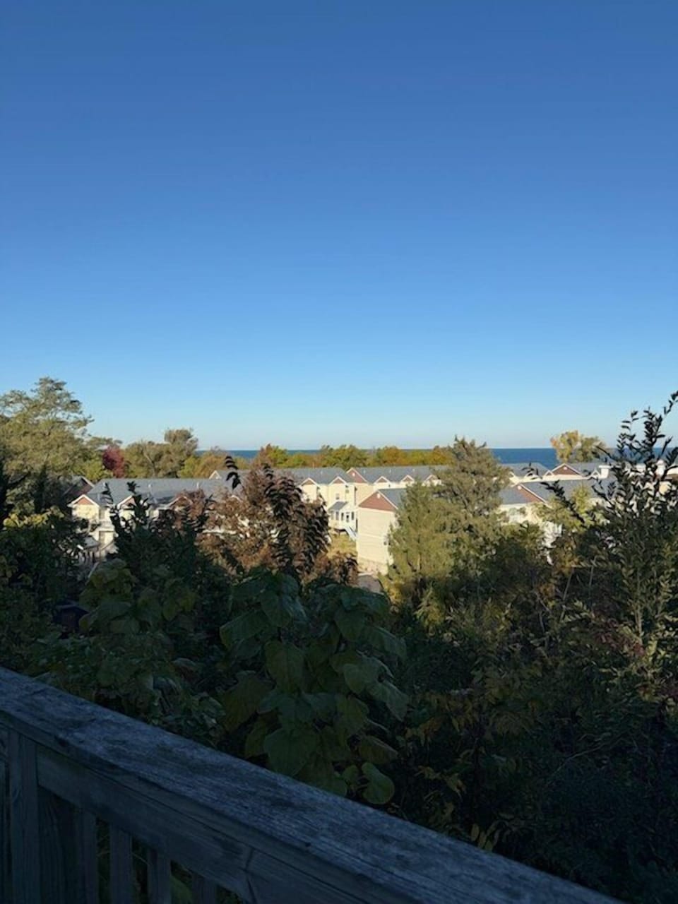 View from property