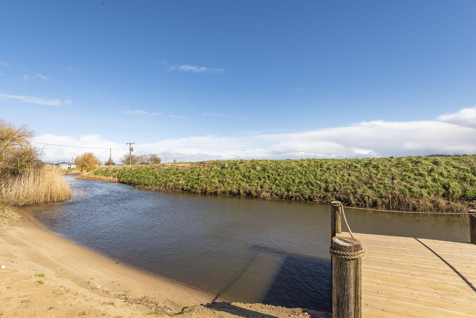 river bank