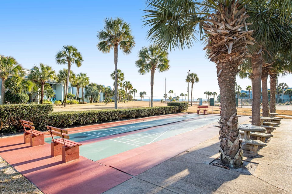 Sport court
