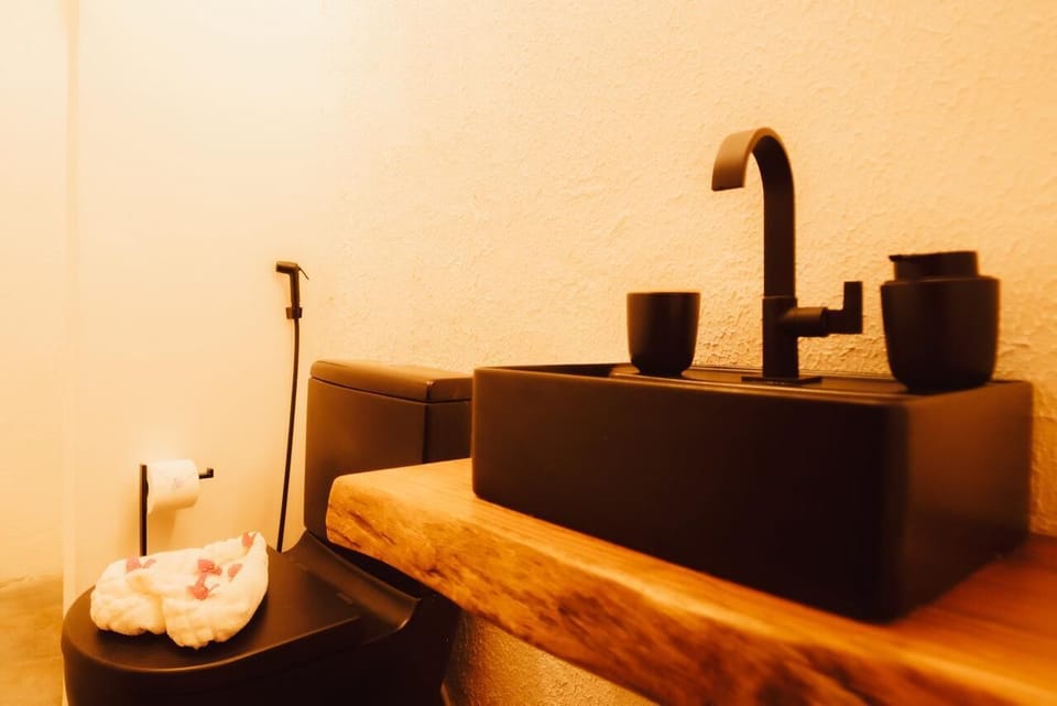 Shower, free toiletries, bidet, towels