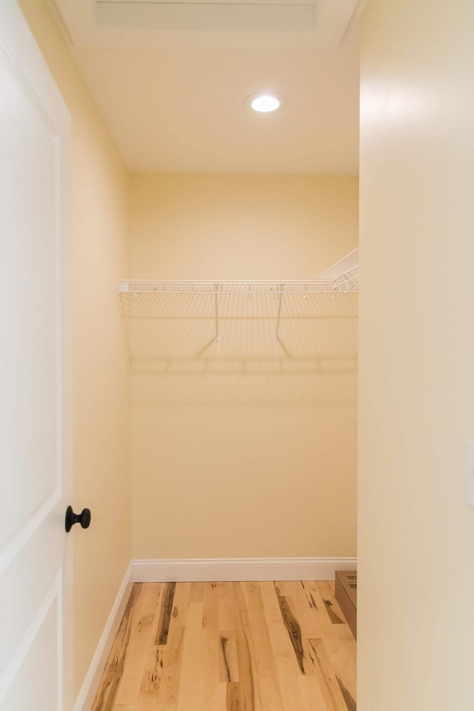 Master Walk in Closet
