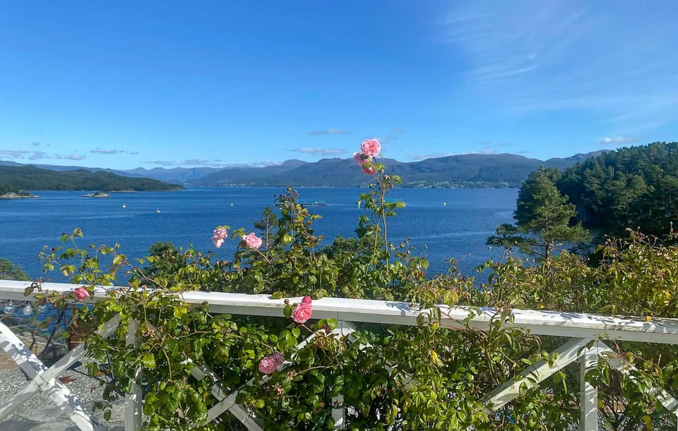 view-from-room