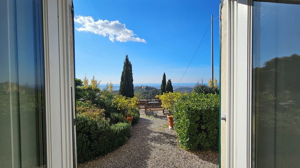 Autumn, Garden, Spring, Summer