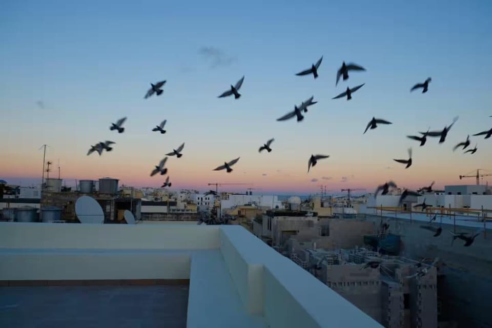 Penthouse, City View | City view