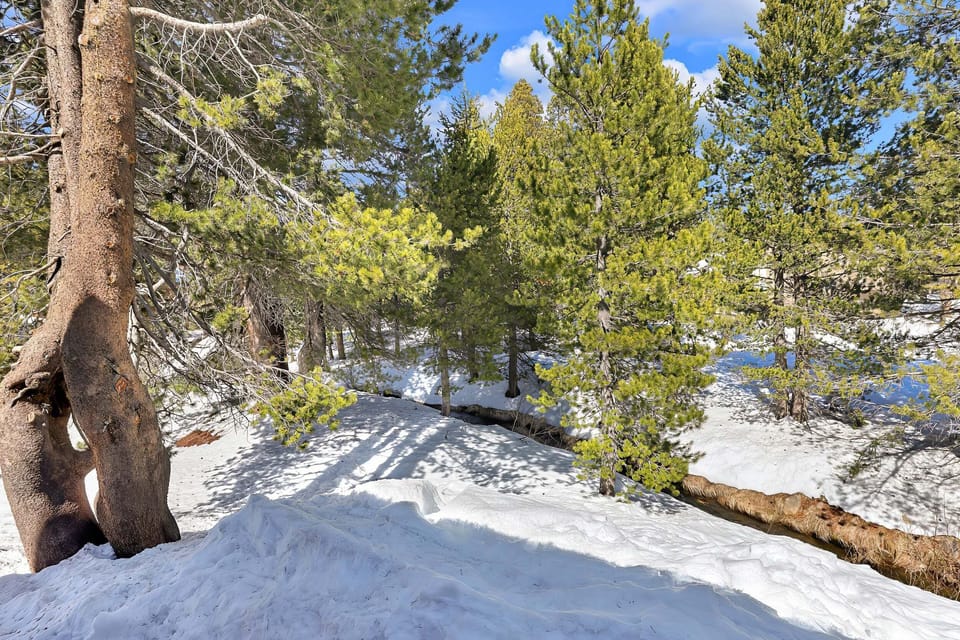 Condo, 2 Bedrooms | Miscellaneous