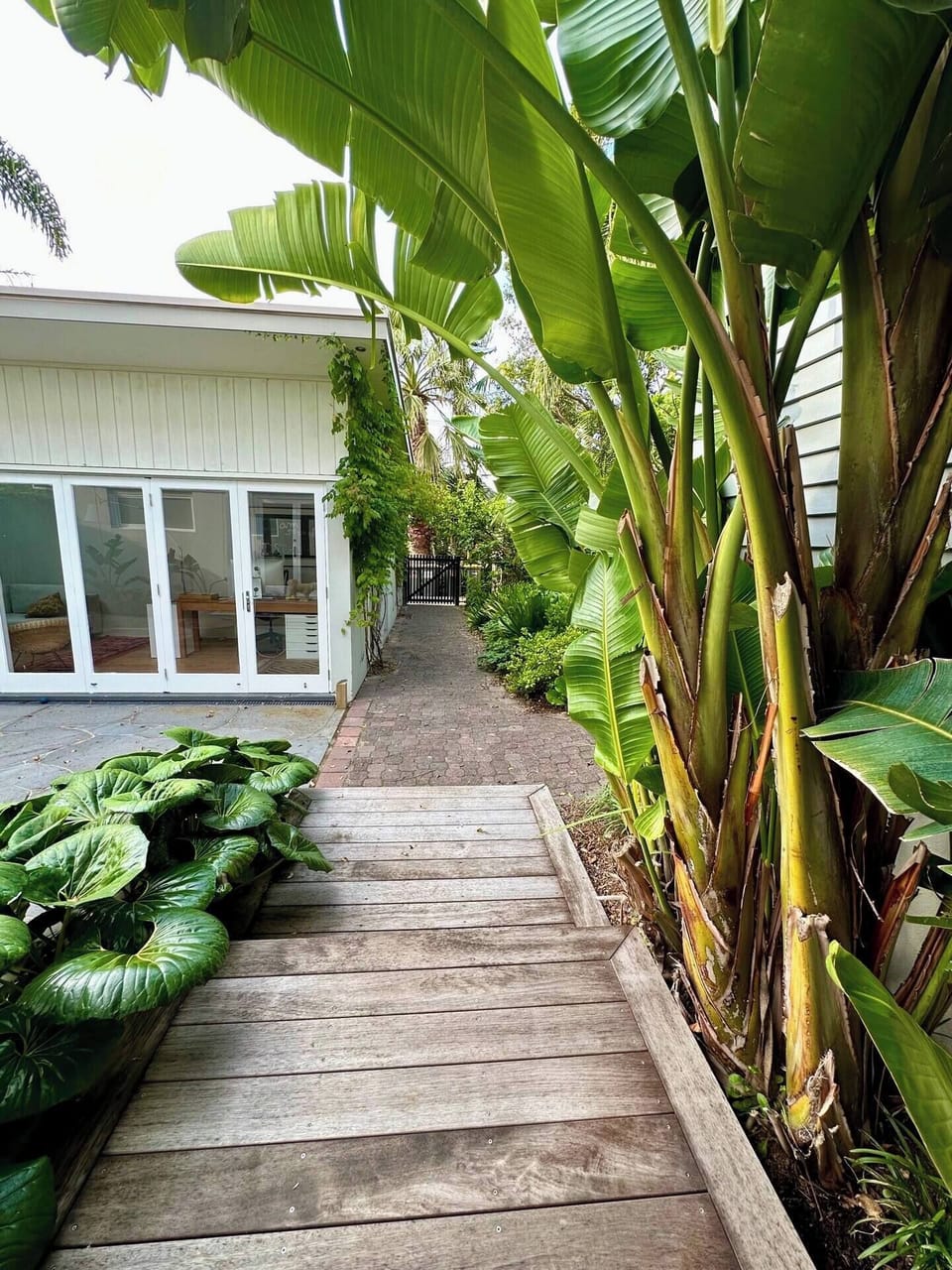 Tropical Garden Entry