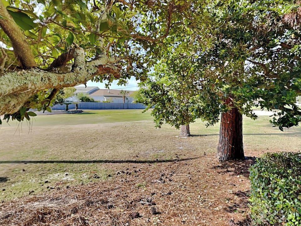 Patio - Golf Course View