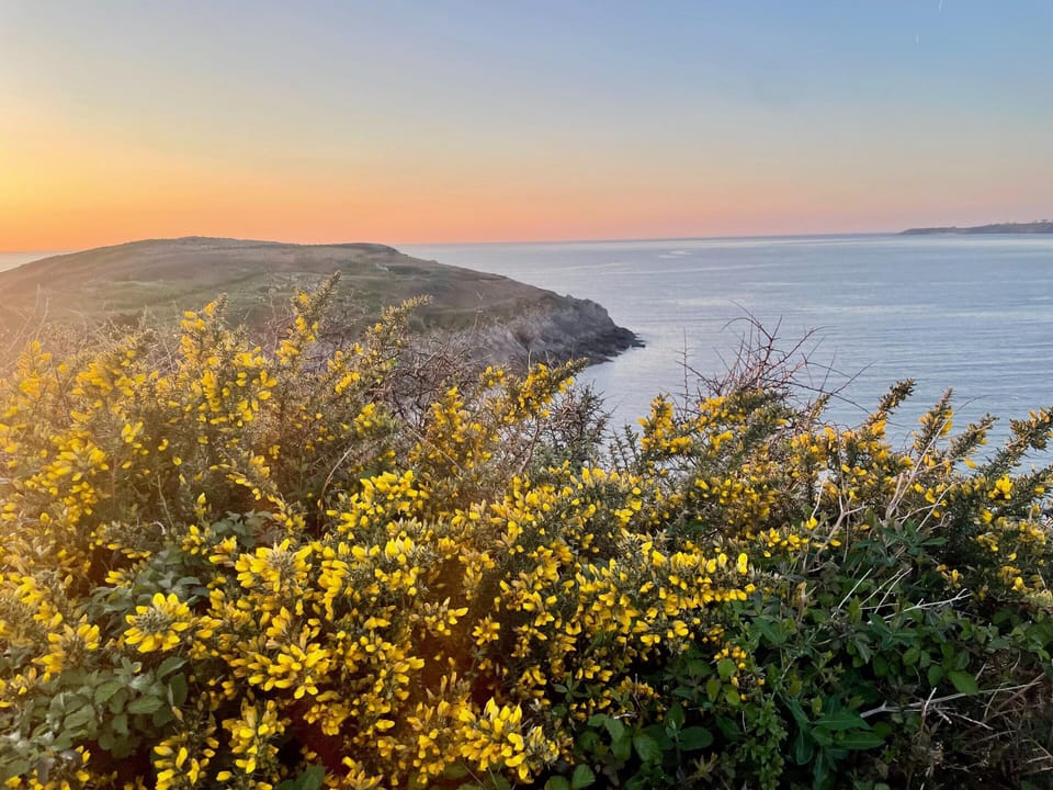 House | View from property