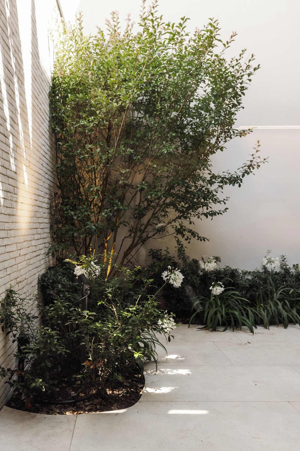 A little pocket of nature in the heart of the coast — the courtyard breathes life into every corner.