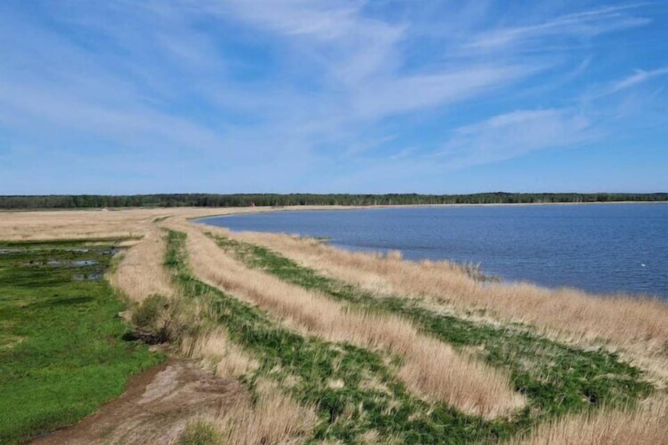 Surroundings [summer] (1-5 km)