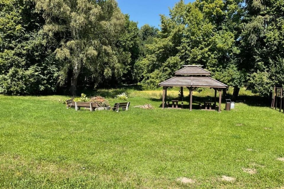 Garden [summer]
