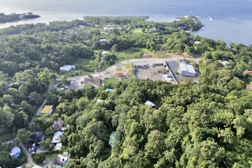 Panoramic view