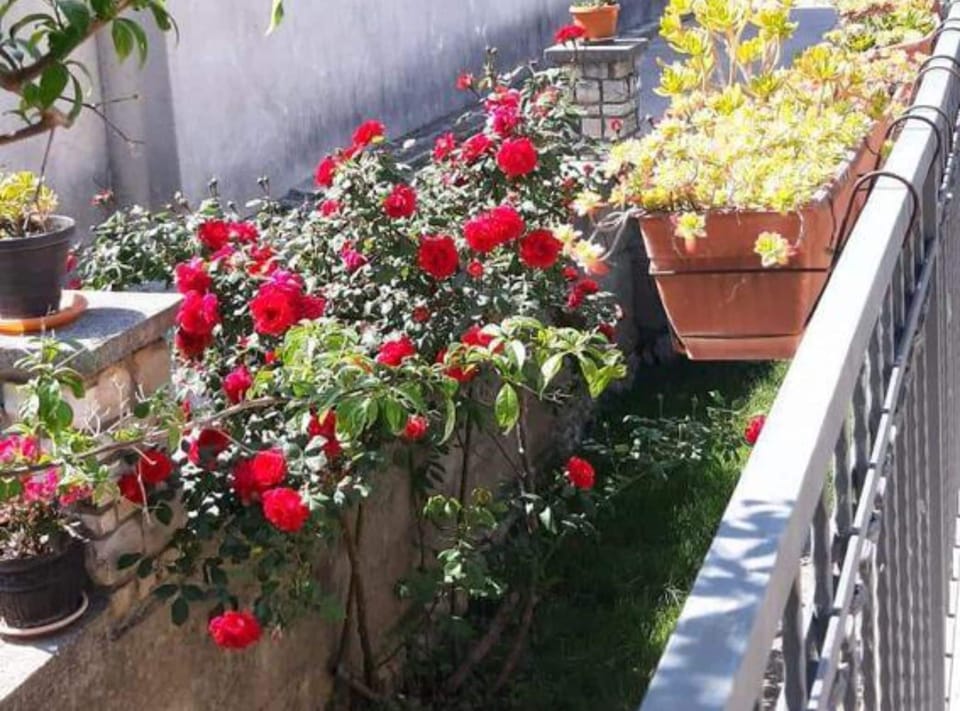 House (ThreeBedroom Holiday Home with Terrac) | Terrace/patio