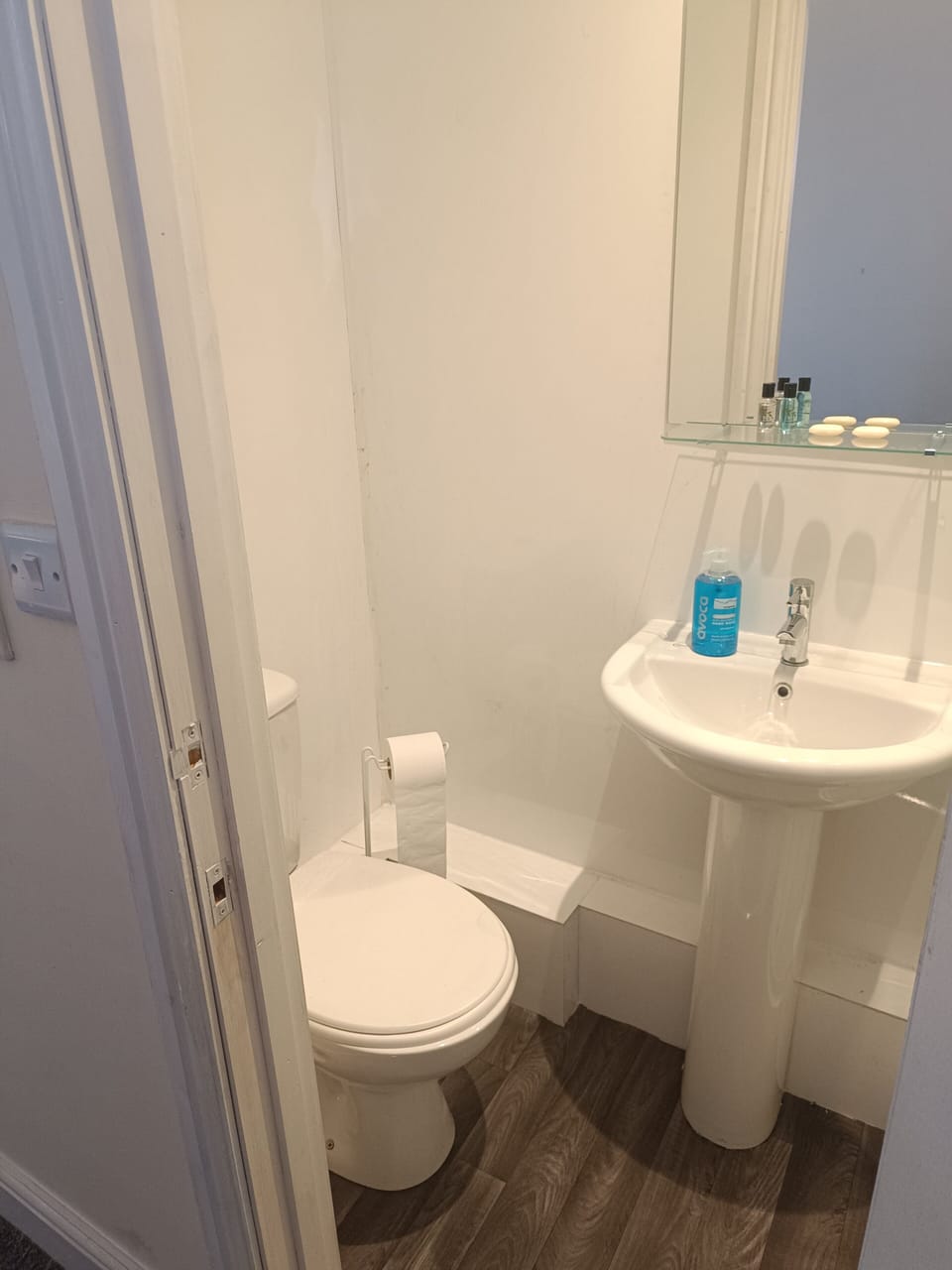 Double Room, Private Bathroom, Park View | Iron/ironing board, free WiFi
