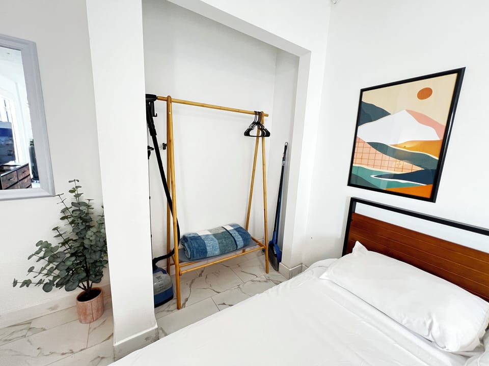 Open wardrobe with clothes rack, potted plant & art above bed