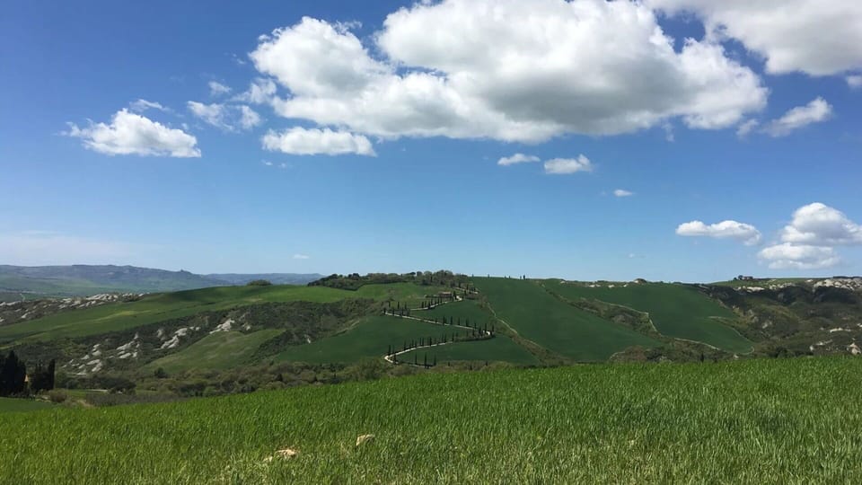 Scenic View