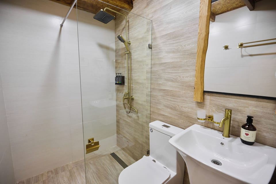 Shower, free toiletries, hair dryer, towels