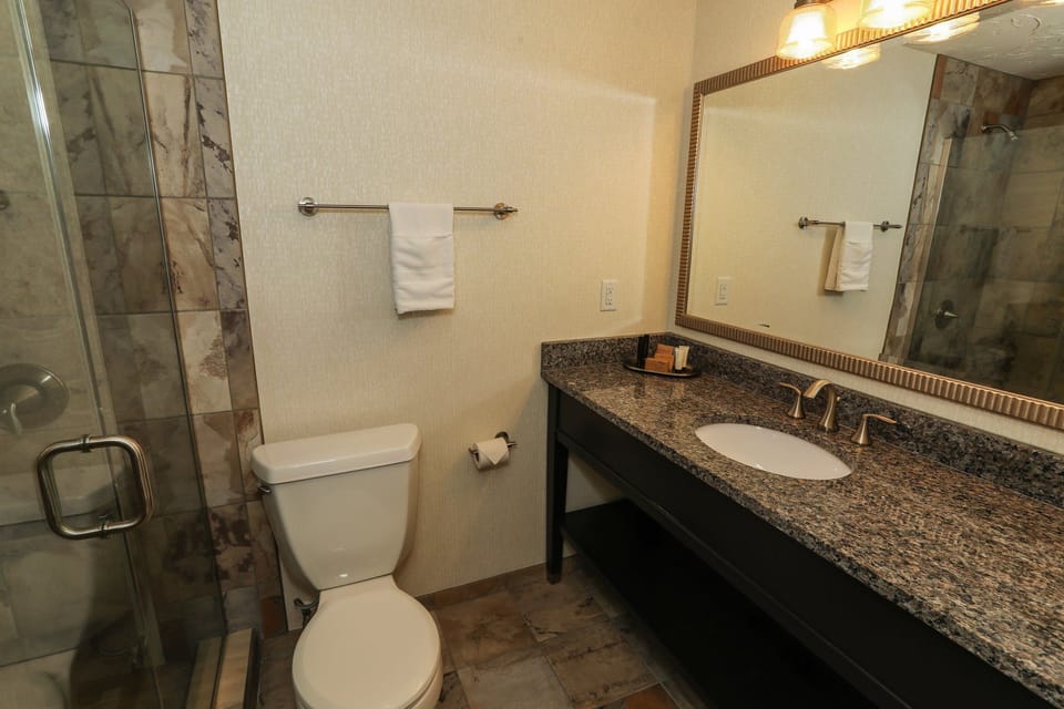 Modern bathroom featuring a granite countertop, spacious vanity, and a walk-in shower.