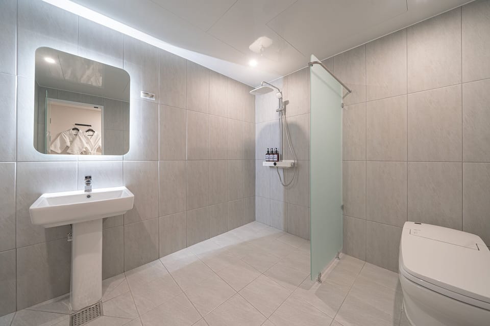 Hair dryer, bathrobes, bidet, shampoo