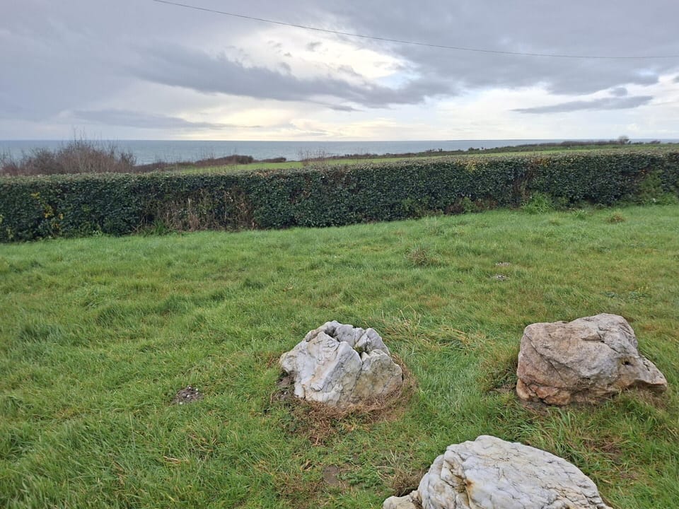 House | View from property
