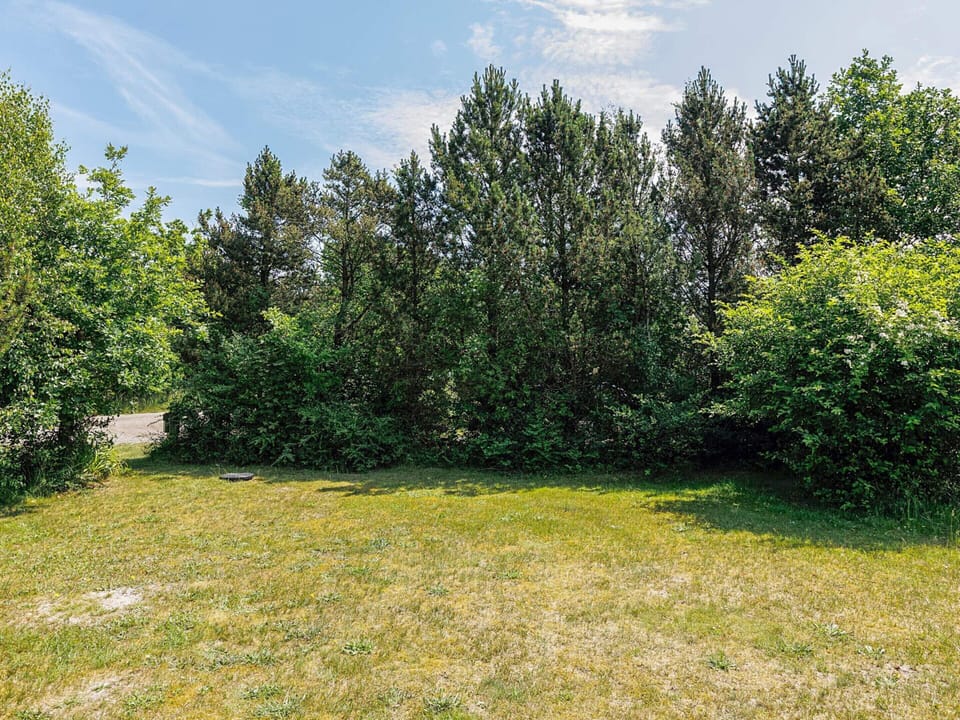 House | View from property