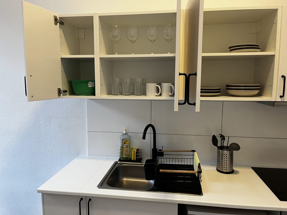 Fridge, oven, cookware/dishes/utensils