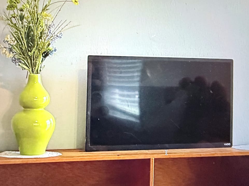 Television