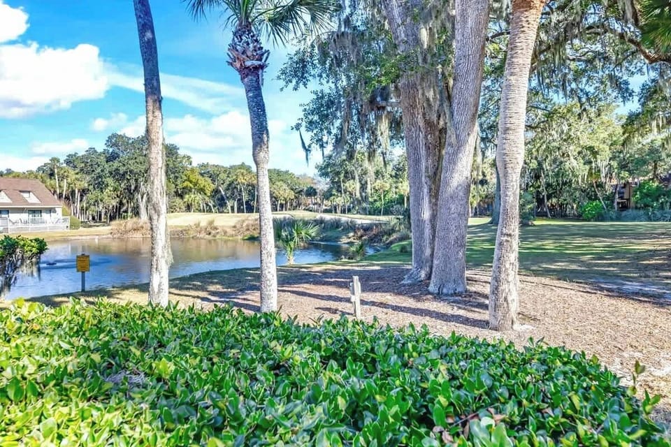 Serene waterfront setting with towering palms and Spanish moss creates a peaceful natural backdrop for your Florida getaway.