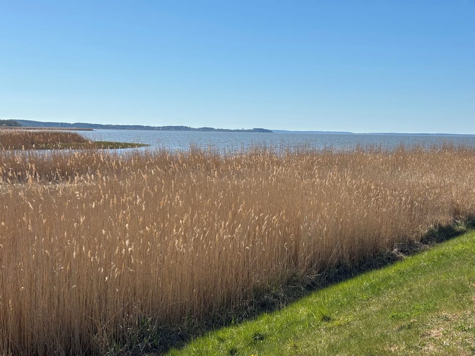 House, 1 Bedroom, Terrace, Garden View | Lake