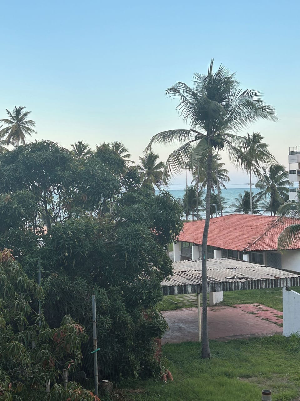 View from property