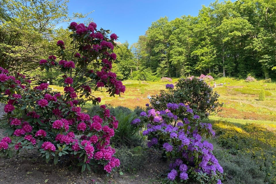 Surroundings [summer] (1-5 km)