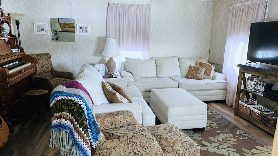 Lower level living area