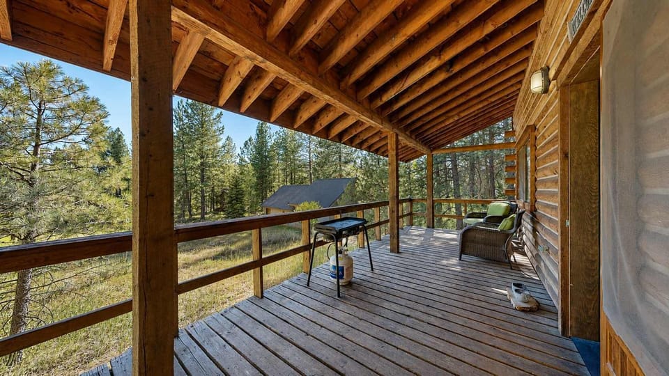 Back deck with gas flat top