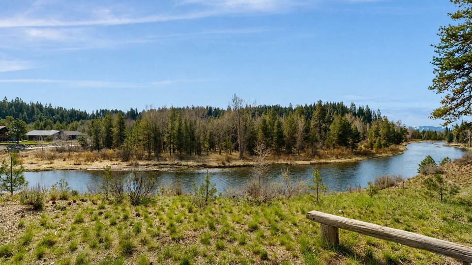Payette River (runs through back yard)