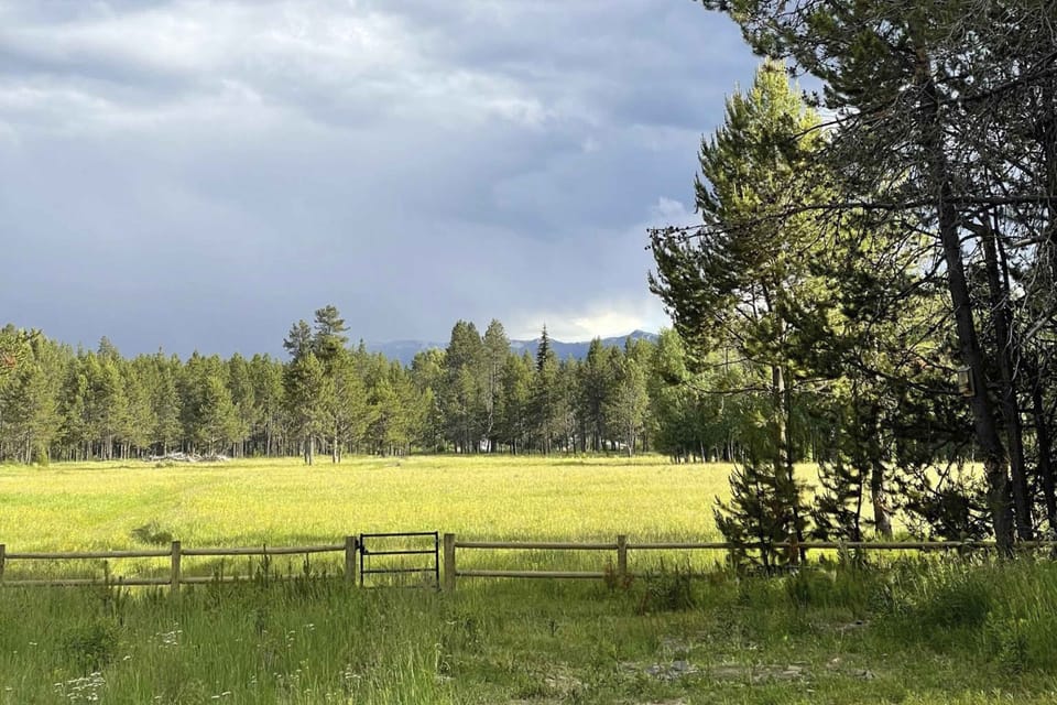 Meadow Views