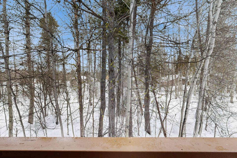 View from deck