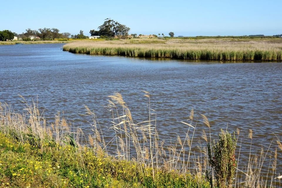 Lake