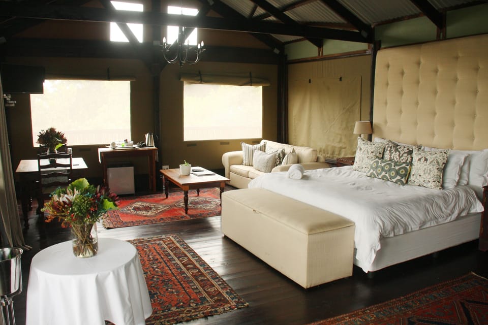 Premium bedding, in-room safe, desk, bed sheets