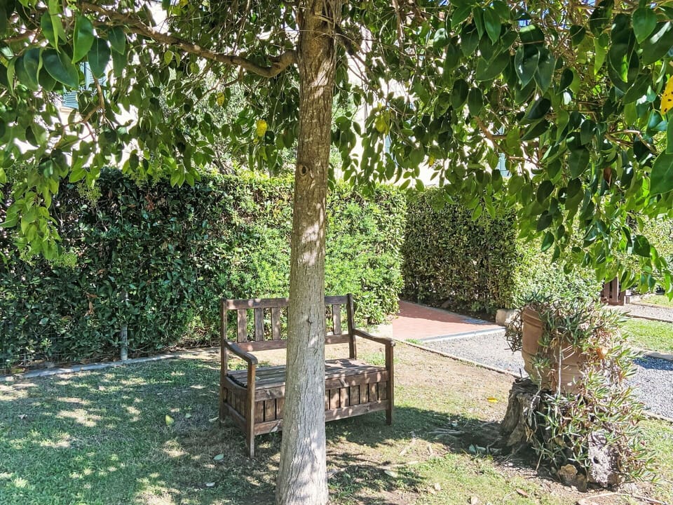 Furniture, Outdoor Furniture, Table, Chair, Outdoor Table, Garden, Kitchen & Dining Room Table, Patio, Restaurant, Flowerpot